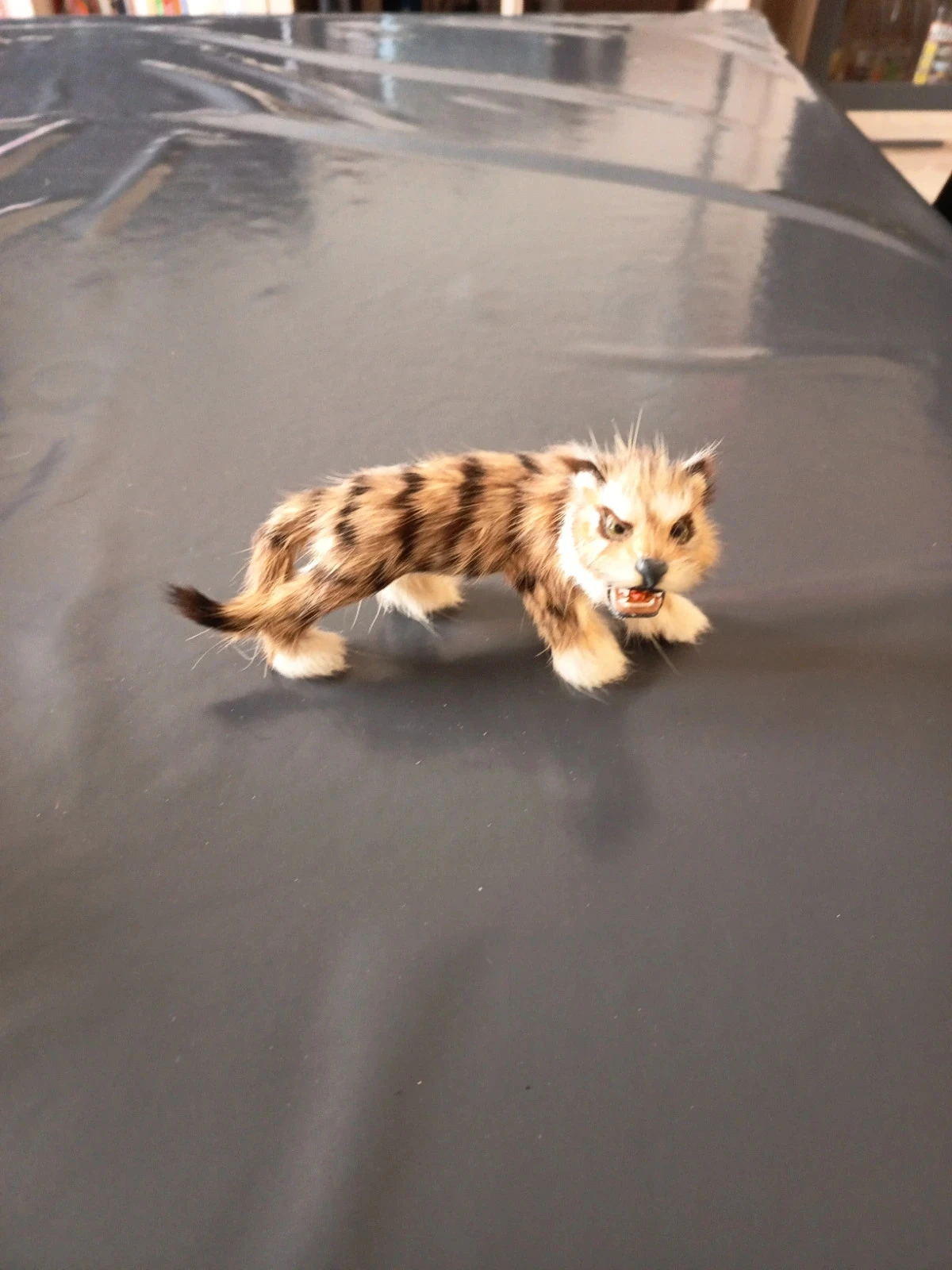Tigre réaliste rugissant